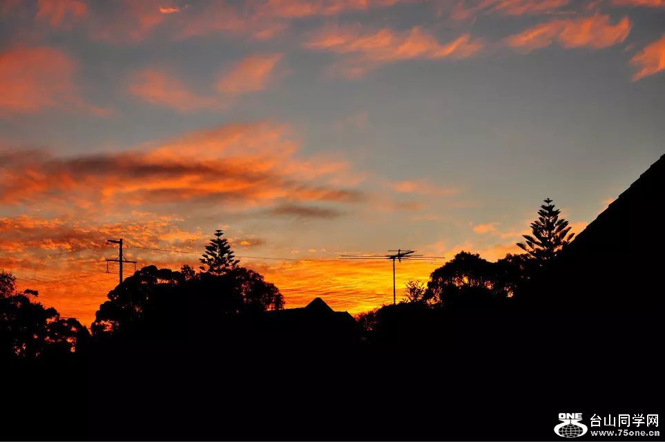 DSC_6415.jpg