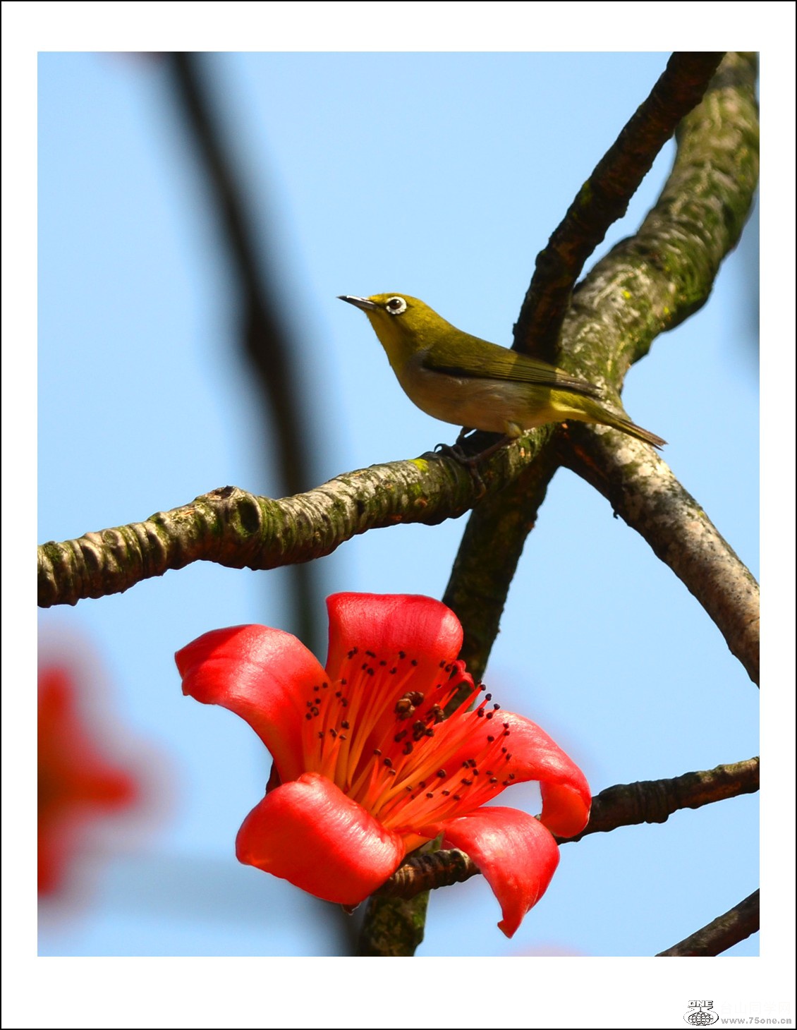DSC_7136_conew1.jpg
