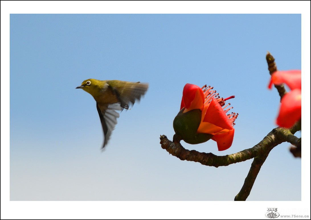 DSC_7626_conew1.jpg