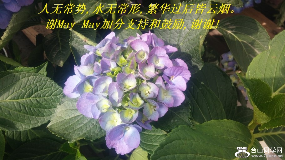 ޳,ˮ޳,̡лMay-Mayӷֺ֧͹,лл!.jpg