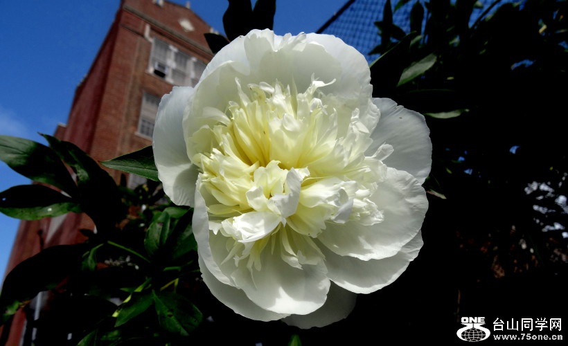 DSC06147a_1.jpg
