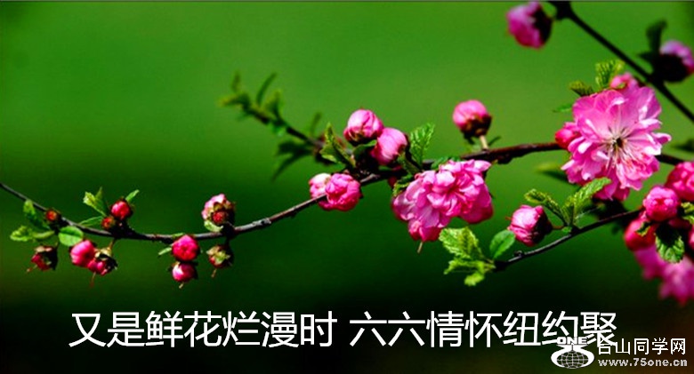 774dd74fhbf0d37b15695&amp;690_.jpg