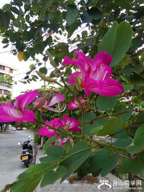 IMG20150515182246_.jpg