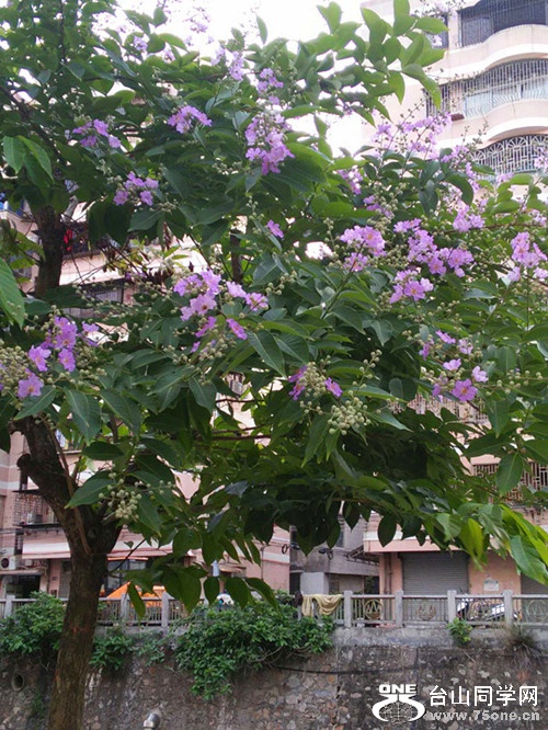 IMG20150515182554_.jpg