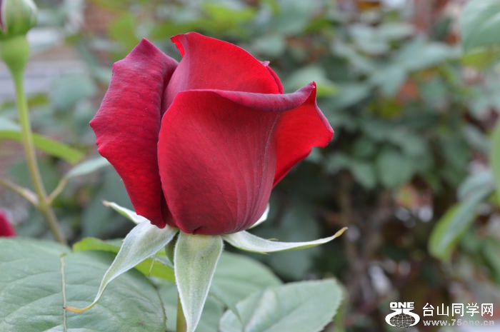 DSC_0064.JPG