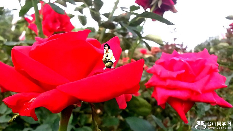 20150428_174406_LLS-1_.jpg