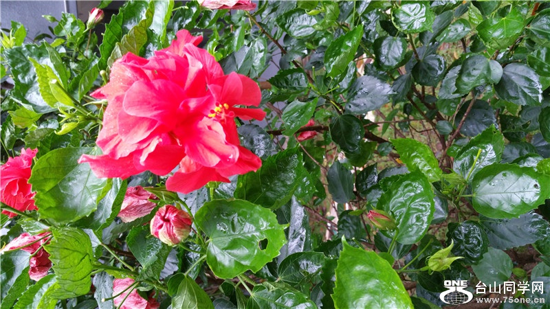 20150524_093508.jpg