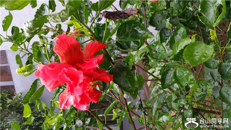 20150524_093522.jpg