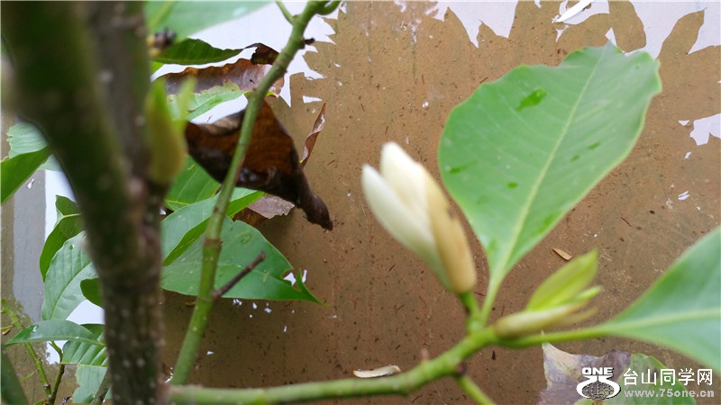 20150524_095753.jpg