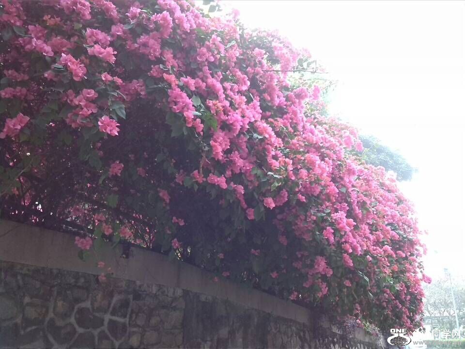 QQͼƬ20150308145810.jpg