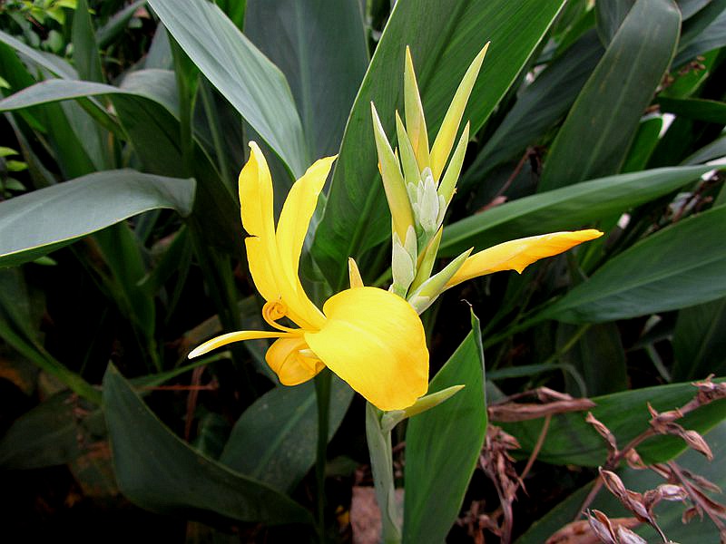 A_000206.jpg
