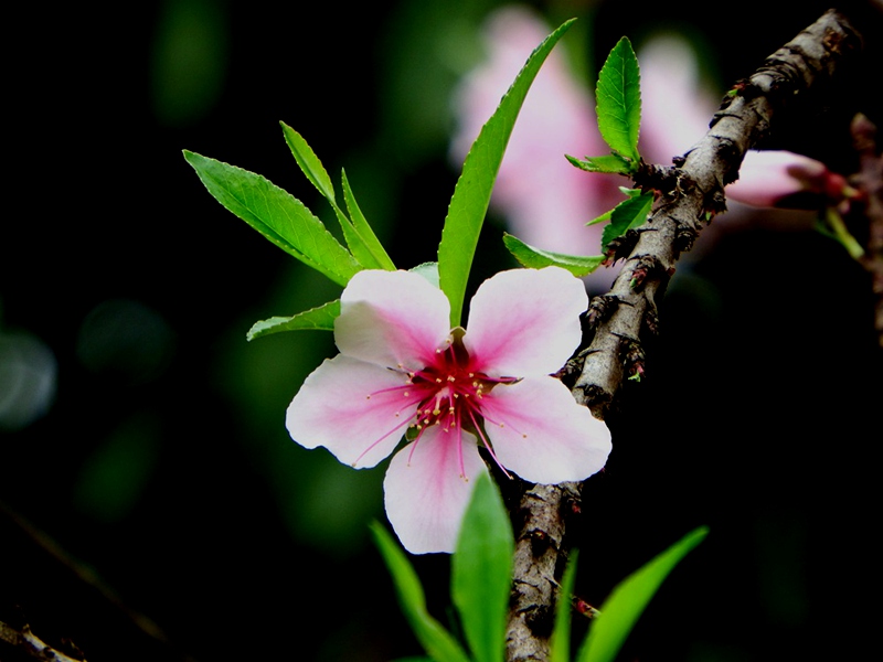 DSCF1847.JPG