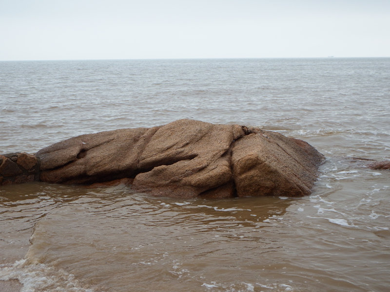 _2237.jpg