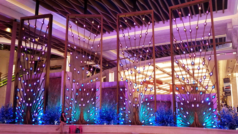 20150427_111519_.jpg