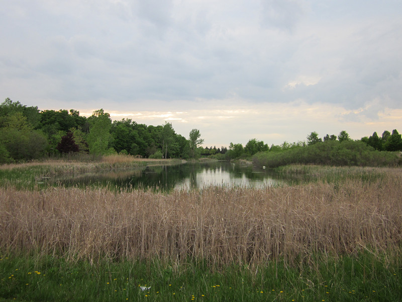IMG_2078_.jpg
