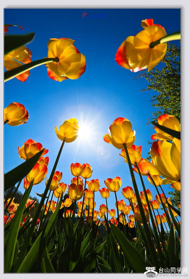 �}�u -3N9A2182-2.jpg