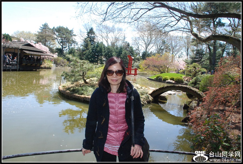 DSC_0217.jpg