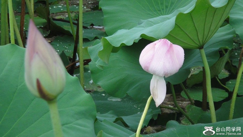 DSC01847_.jpg