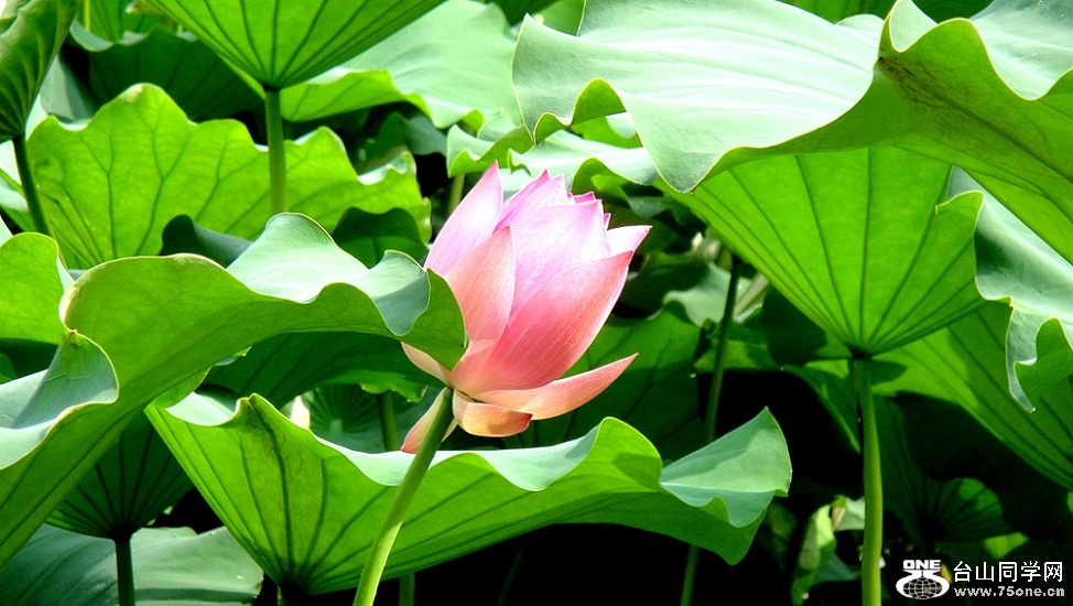 DSC02103_.jpg