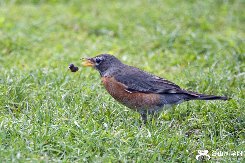 DSC_4683aa.jpg
