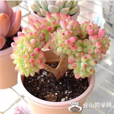 0 (32).jpg