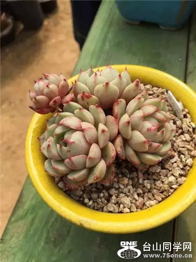 0 (99).jpg