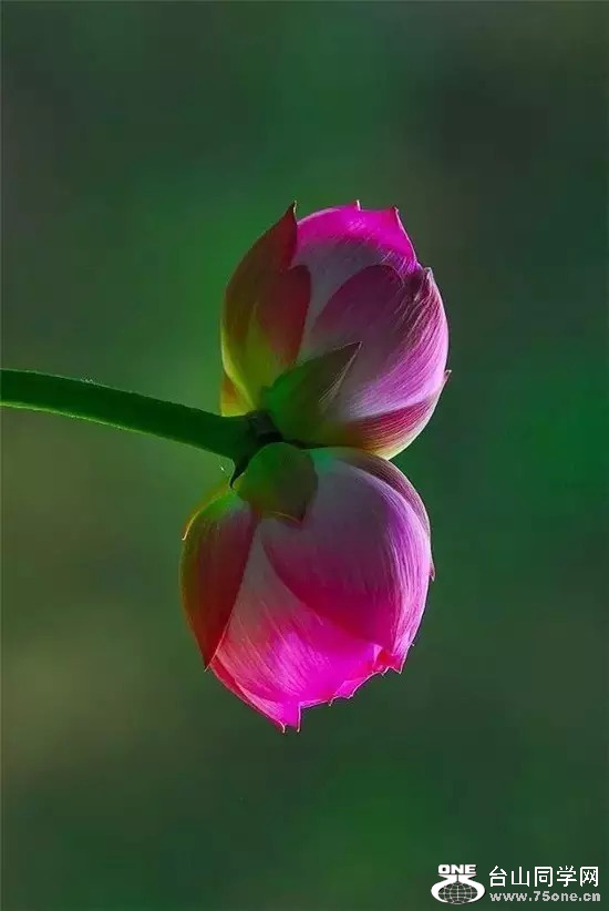 0 (57).jpg