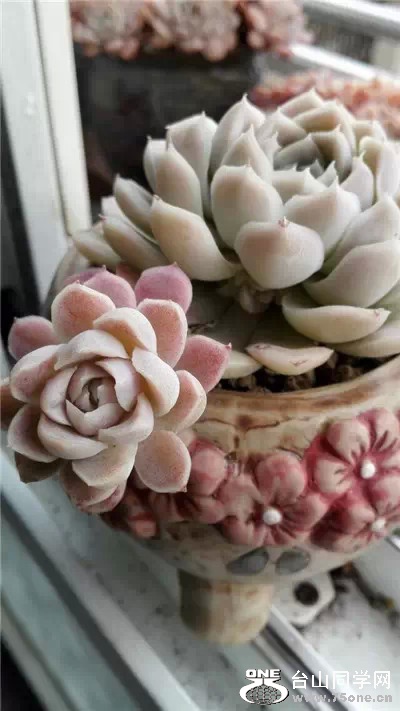 0 (97).jpg