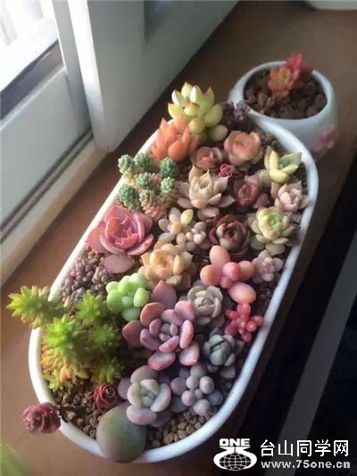 0 (94).jpg