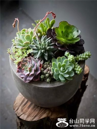 0 (46).jpg