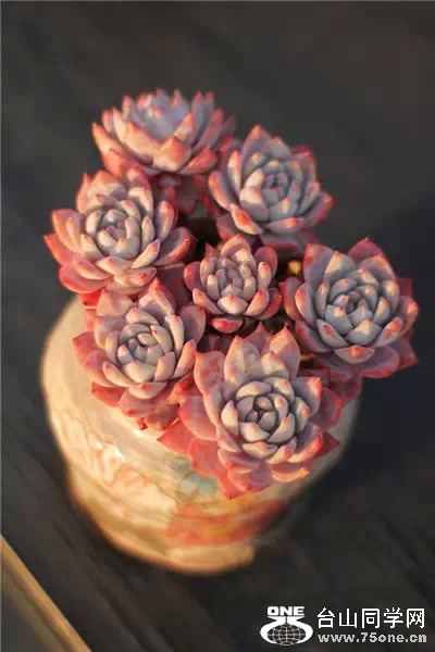 0 (43).jpg