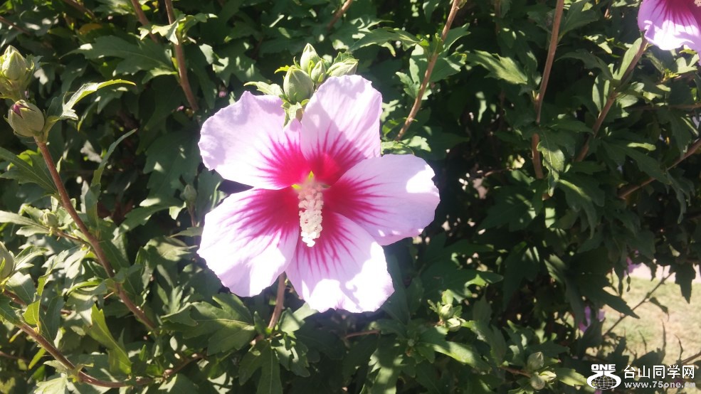 20150611_095330.jpg