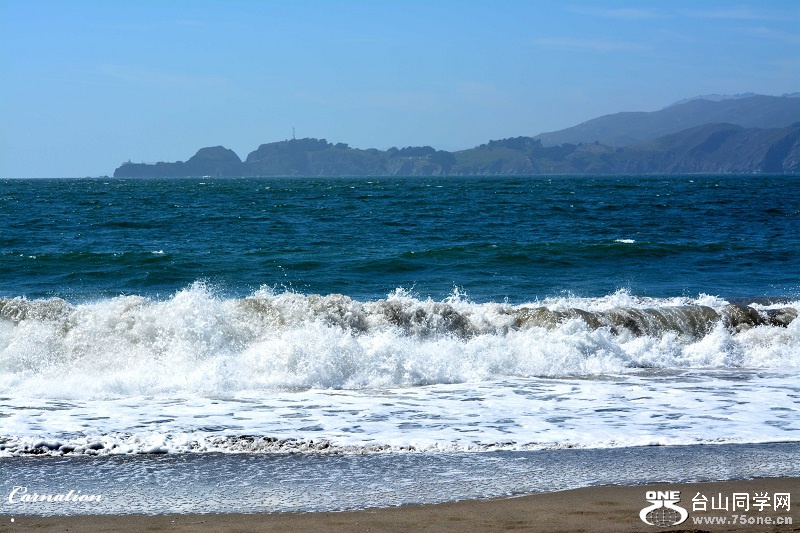 DSC_1239.jpg