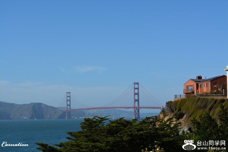 DSC_1321B.jpg