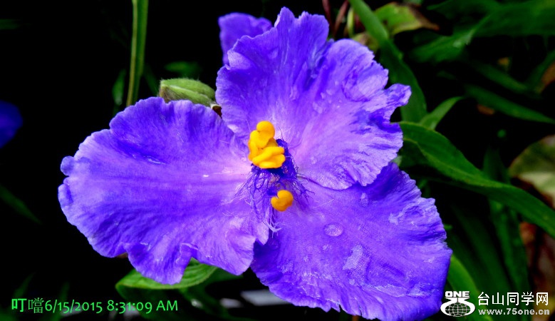 DSC06807b_1.jpg