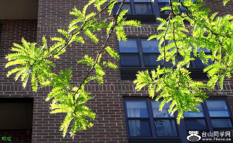 DSC06559b_1.jpg