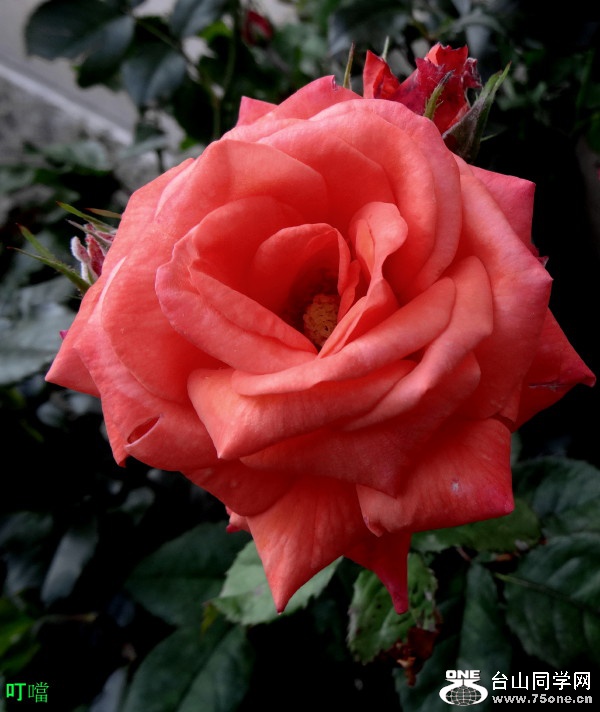 DSC06540a_1.jpg
