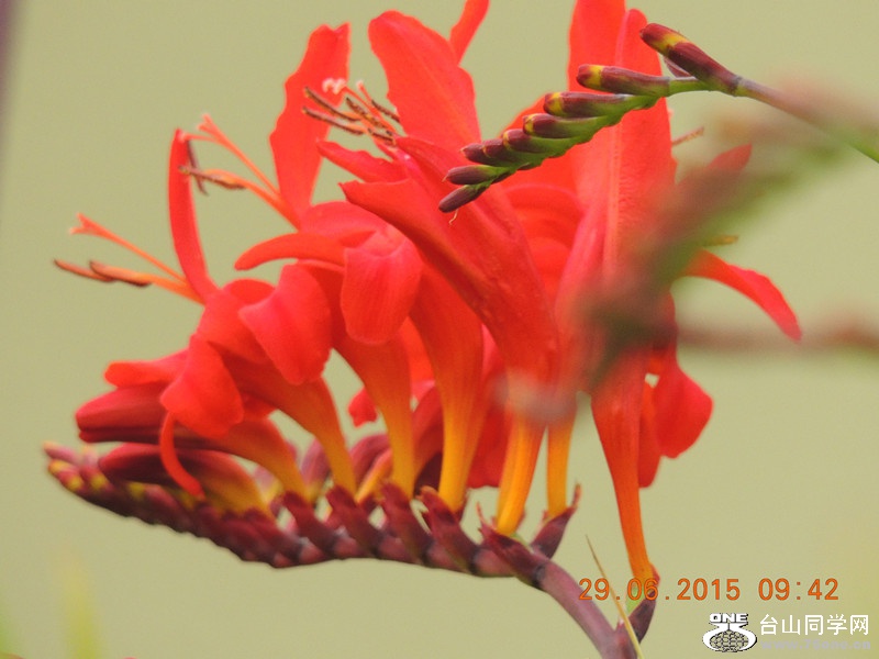 mix 2015 066_.jpg