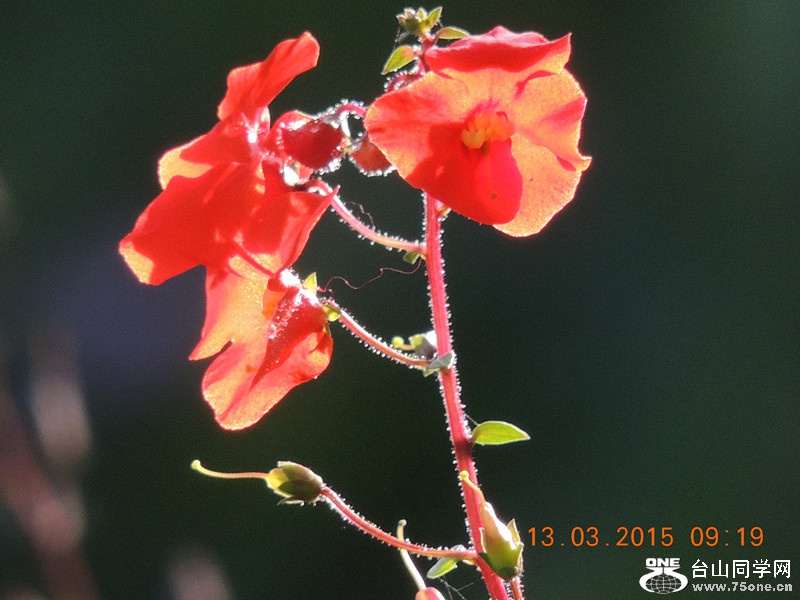 mix2015 069_.jpg