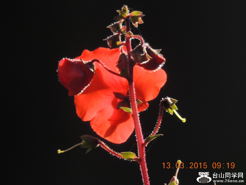 mix2015 072_.jpg