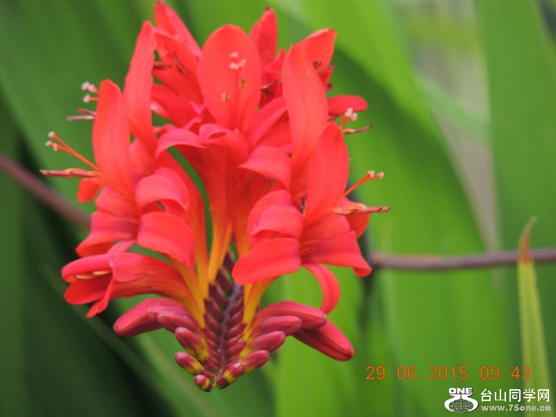 mix 2015 071_.jpg