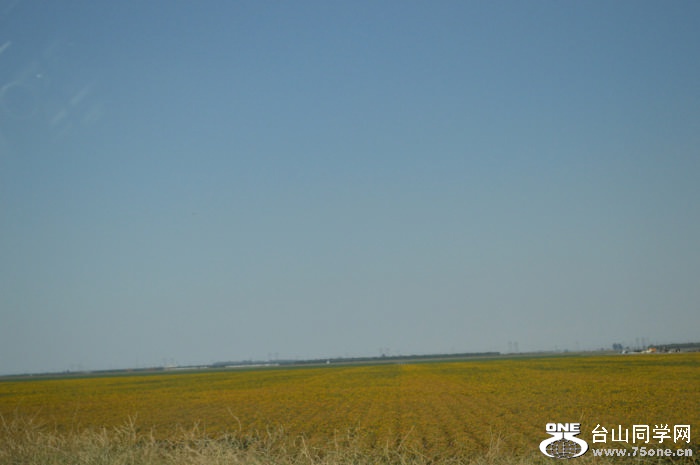 DSC_0645.jpg