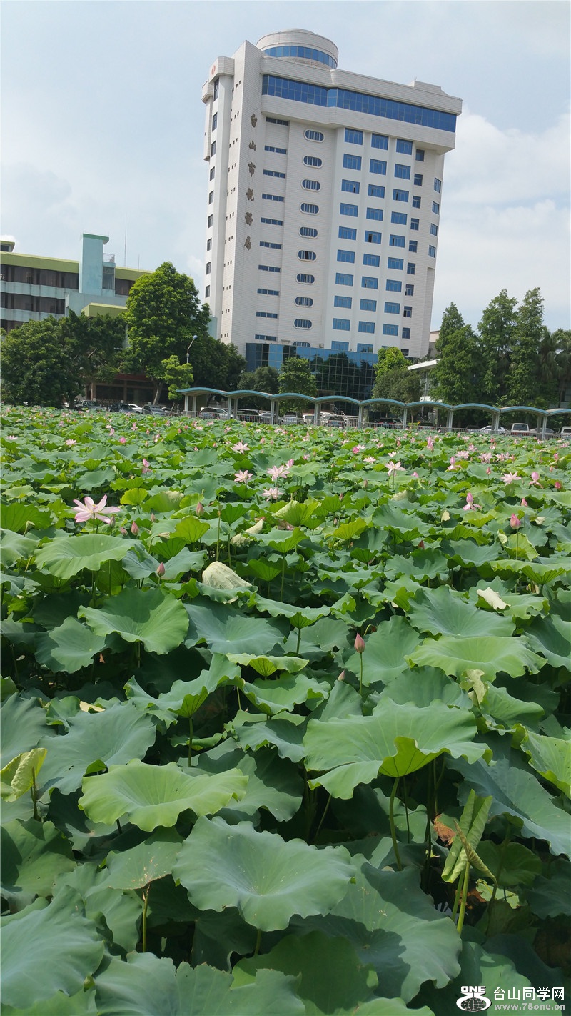 20150610_100224.jpg
