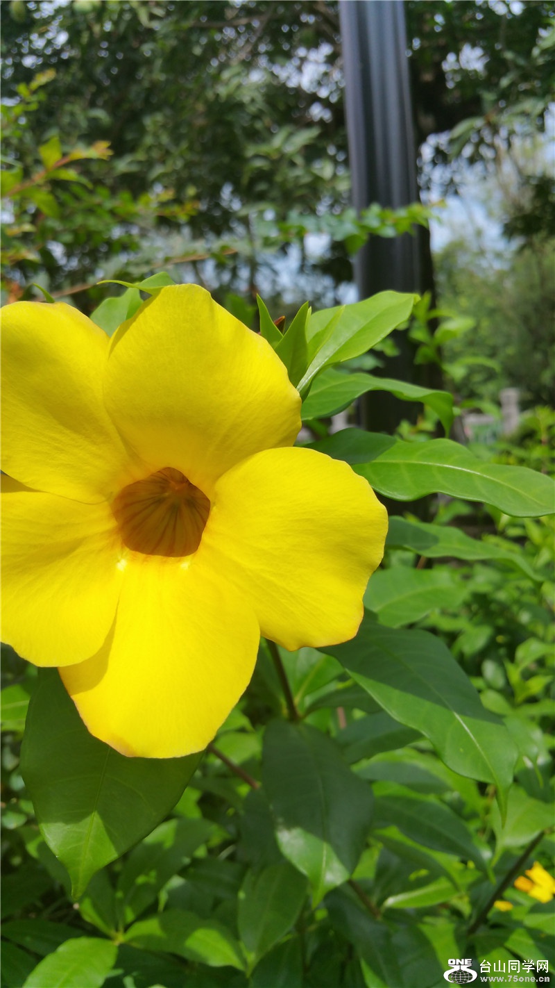 20150610_100151.jpg