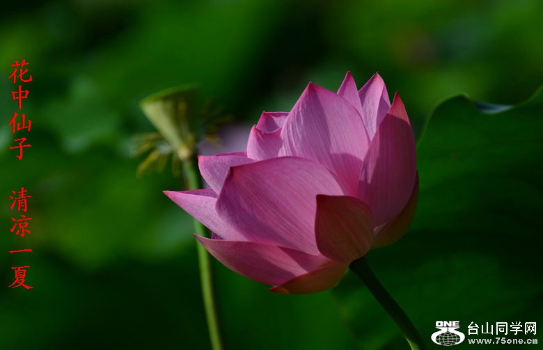 DSC_7548_1.JPG