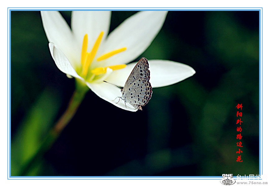 DPP_2015.5.17_10883_.jpg
