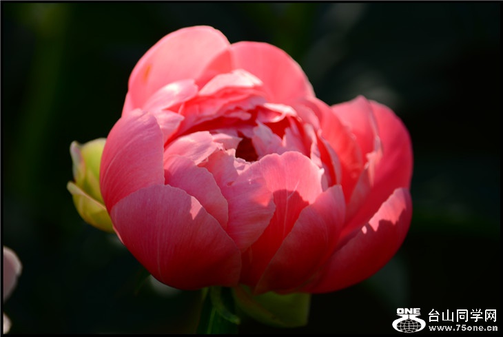 DSC_2317.jpg