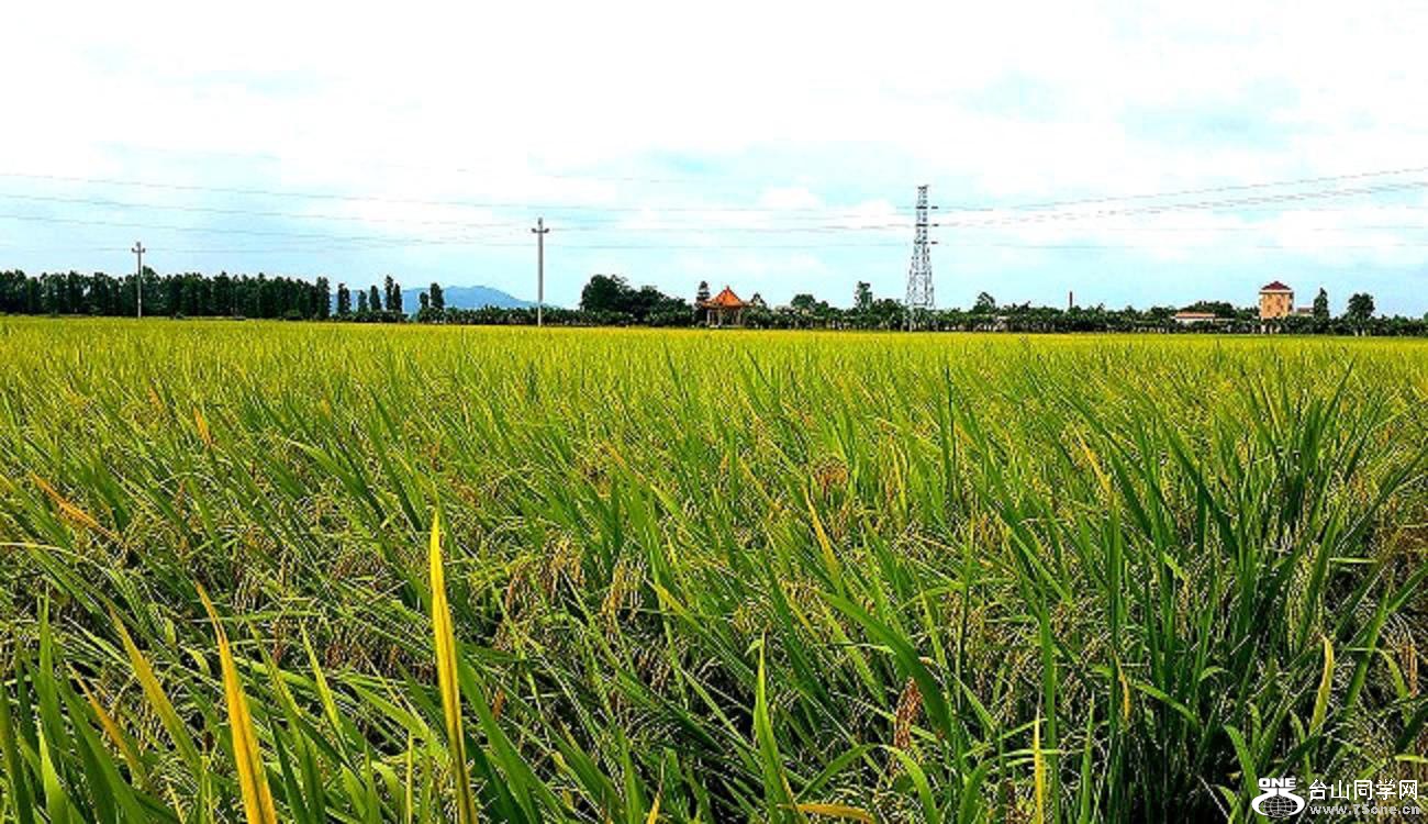 20150622_143318.jpg
