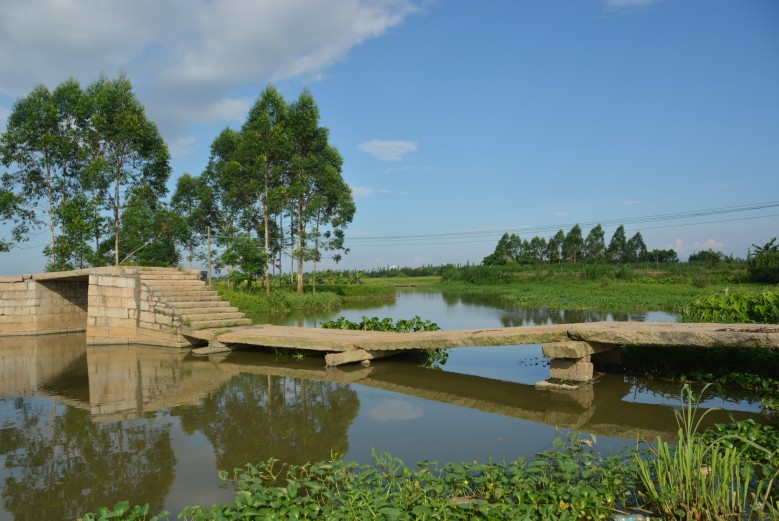 DSC_7856_conew1.jpg