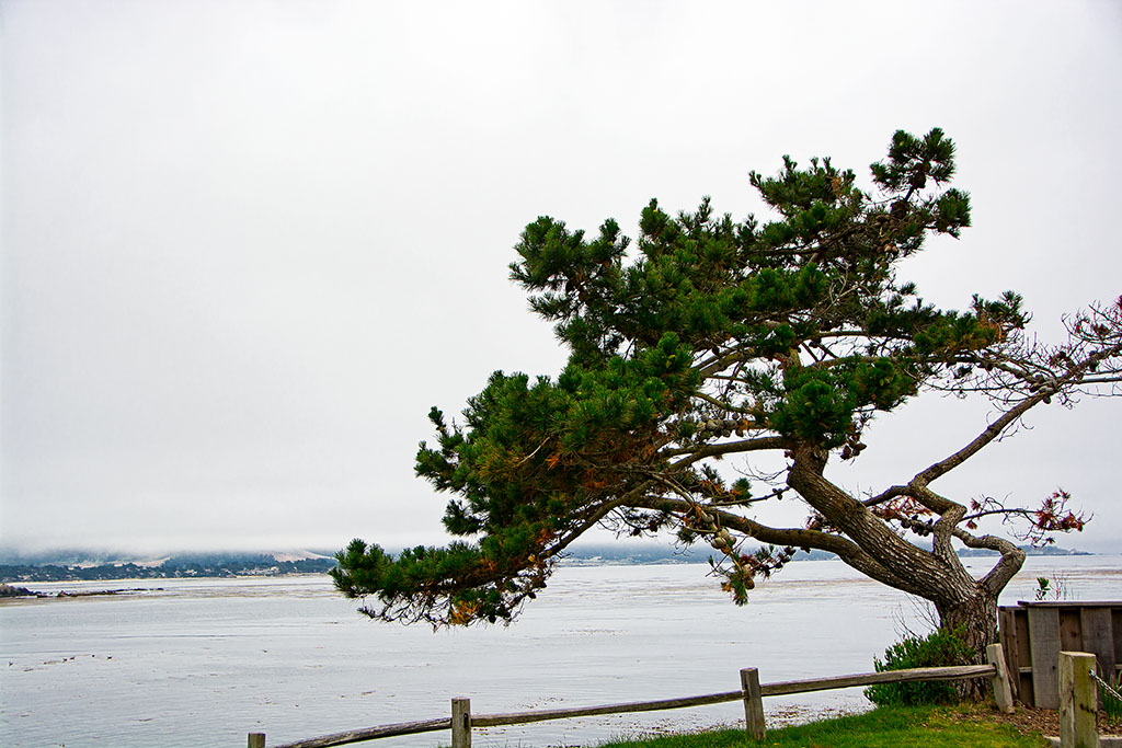 DSC_0407.jpg